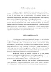 IP protokolas; IPv4; IPv6 7 puslapis