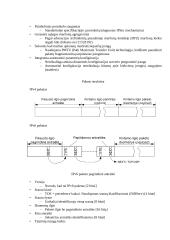 IPv6 protokolas 2 puslapis