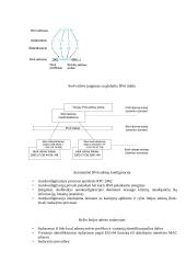 IPv6 protokolas 11 puslapis