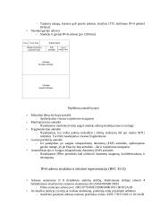 IPv6 protokolas 3 puslapis
