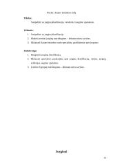 Mokomosios praktikos ataskaita: gėlininkystė 12 puslapis