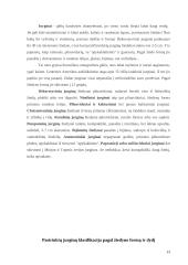 Mokomosios praktikos ataskaita: gėlininkystė 13 puslapis