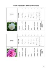 Mokomosios praktikos ataskaita: gėlininkystė 18 puslapis