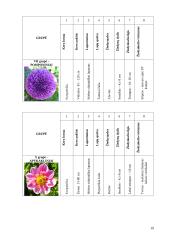 Mokomosios praktikos ataskaita: gėlininkystė 19 puslapis