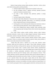 Įrašomų duomenų patikros poreikis parduodant materialines vertybes 5 puslapis