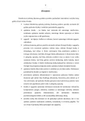 Įrašomų duomenų patikros poreikis parduodant materialines vertybes 9 puslapis