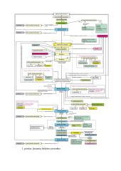 Įstatymo priėmimo procedūrų ypatumai 17 puslapis