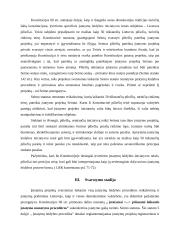 Įstatymo priėmimo procedūrų ypatumai 4 puslapis