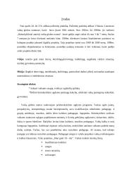 Pažintinė pedagogikos praktikos ataskaita: Vilniaus vaikų globos namai 2 puslapis