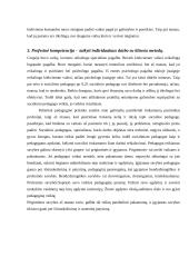 Pažintinė pedagogikos praktikos ataskaita: Vilniaus vaikų globos namai 6 puslapis