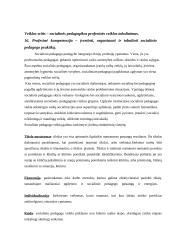 Pažintinė pedagogikos praktikos ataskaita: Vilniaus vaikų globos namai 8 puslapis