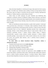 Italijos respublikos valdymo ir administravimo sistema 3 puslapis