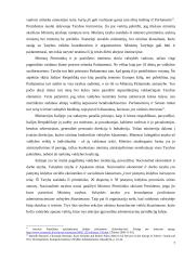 Italijos respublikos valdymo ir administravimo sistema 7 puslapis