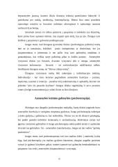 Jungo teorija 11 puslapis