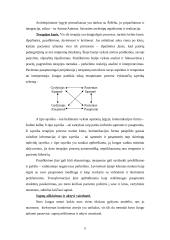 Jungo teorija 12 puslapis
