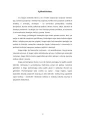 Jungo teorija 14 puslapis