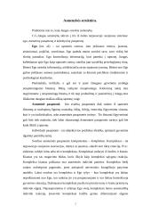 Jungo teorija 3 puslapis