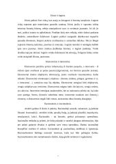 Jungo teorija 8 puslapis