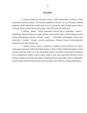 Juridinio asmens steigėjo (dalyvio) civilinė atsakomybė pagal juridinio asmens prievoles 13 puslapis