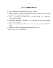 Juridinio asmens steigėjo (dalyvio) civilinė atsakomybė pagal juridinio asmens prievoles 14 puslapis