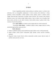 Juridinio asmens steigėjo (dalyvio) civilinė atsakomybė pagal juridinio asmens prievoles 3 puslapis