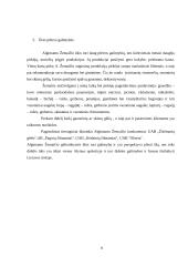 Praktikos ataskaita: A. Žemaičio gėlių ūkis 9 puslapis