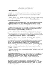 Juridinių asmenų ribota bei neribota civilinė atsakomybė 15 puslapis