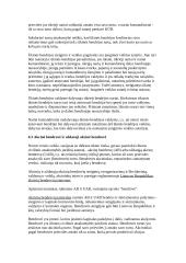 Juridinių asmenų ribota bei neribota civilinė atsakomybė 17 puslapis