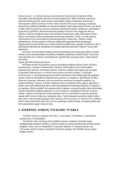 Juridinių asmenų ribota bei neribota civilinė atsakomybė 6 puslapis
