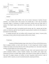 Kaip valdyti konfliktą? 5 puslapis