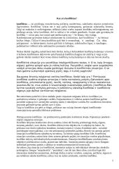 Konfliktas bei konflikto valdymas 4 puslapis