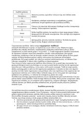 Konfliktas bei konflikto valdymas 8 puslapis