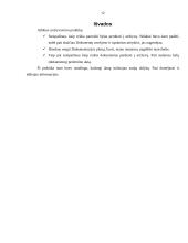 Praktikos ataskaita: archyvavimas 12 puslapis