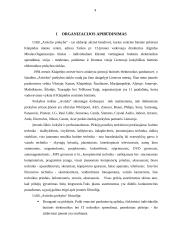 Praktikos ataskaita: elektronikos parduotuvių tinklas UAB "Avitelos prekyba" 4 puslapis