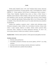 Praktikos ataskaita: kelionių agentūra "Saitas" 2 puslapis