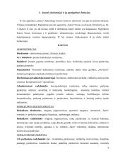 Praktikos ataskaita: kelionių agentūra "Saitas" 6 puslapis