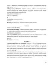 Praktikos ataskaita: kelionių agentūra "Saitas" 7 puslapis