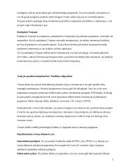 Kompiuterių virusai ir saugumas internete 4 puslapis