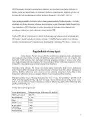 Kompiuterių virusai ir saugumas internete 6 puslapis