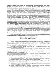 Praktikos ataskaita: maitinimo organizavimas 7 puslapis