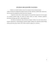 Praktikos ataskaita: Panevėžio aplinkos apsaugos departamentas 4 puslapis