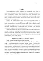 Požiūris į konfliktus 2 puslapis