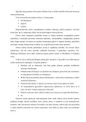 Požiūris į konfliktus 7 puslapis
