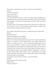 Praktikos ataskaita: Šiaulių vaikų globos namai 4 puslapis
