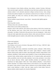 Praktikos ataskaita: Šiaulių vaikų globos namai 5 puslapis