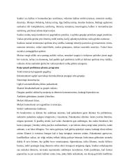 Praktikos ataskaita: Šiaulių vaikų globos namai 6 puslapis