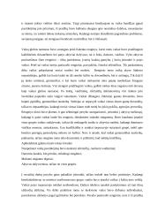 Praktikos ataskaita: Šiaulių vaikų globos namai 7 puslapis