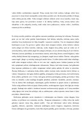 Praktikos ataskaita: Šiaulių vaikų globos namai 8 puslapis