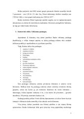 Praktikos darbas: AB "Vilniaus bankas" Naujamiesčio filialas 4 puslapis
