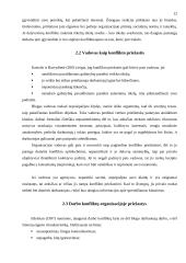 Konfliktai: priežastys, eiga ir pasekmės 12 puslapis